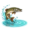 Fishfun